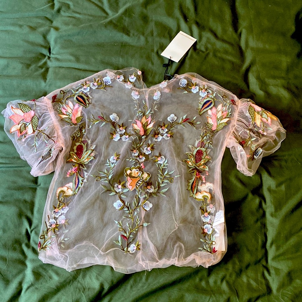 Zara Dalia Sheer Pink Tulle Top, Small